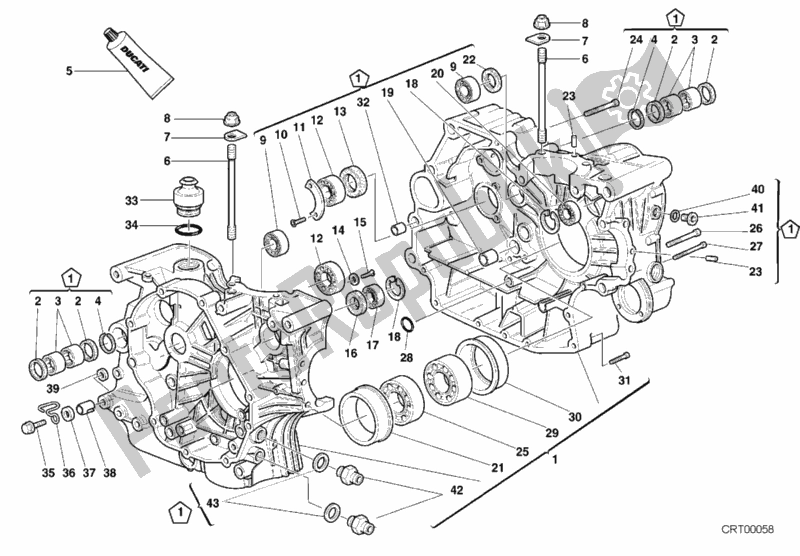 All parts for the Crankcase of the Ducati Supersport 900 SS 2000